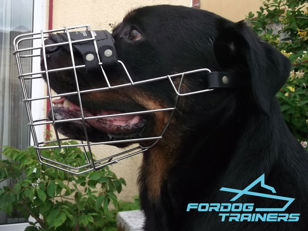 Lightweight Metal Construction Cage Muzzle for Daily Walks