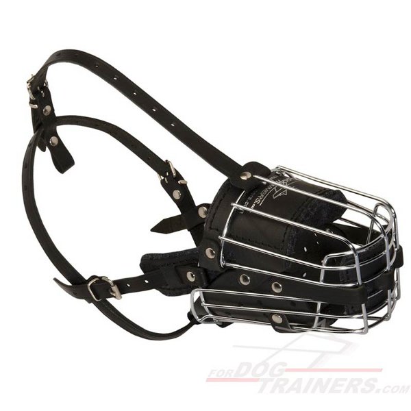 Wire Basket Great Dog Muzzle