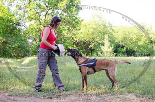 Belgian Malinois Bite Builder