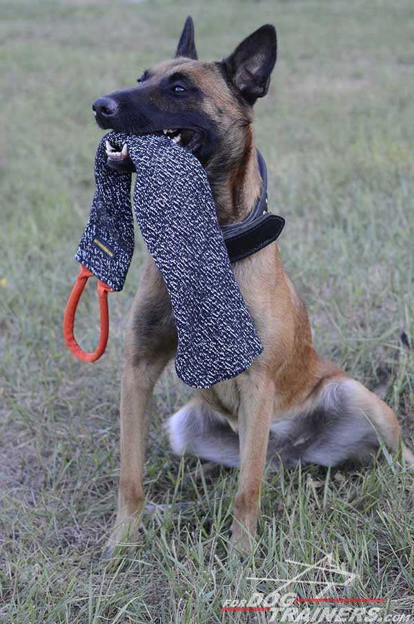 Dog-Safe Belgian Malinois Bite Rag