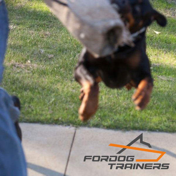 Jute Short Sleeve for Young Rambo Rottweiler