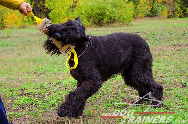 Riesenschnauzer Jute Bite Tug with Handles