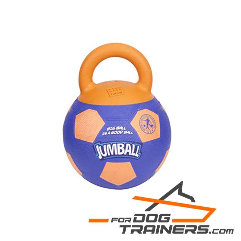 dog ball with handle