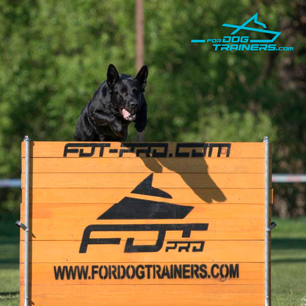 Dog Training Schutzhund Barrier for professional Use