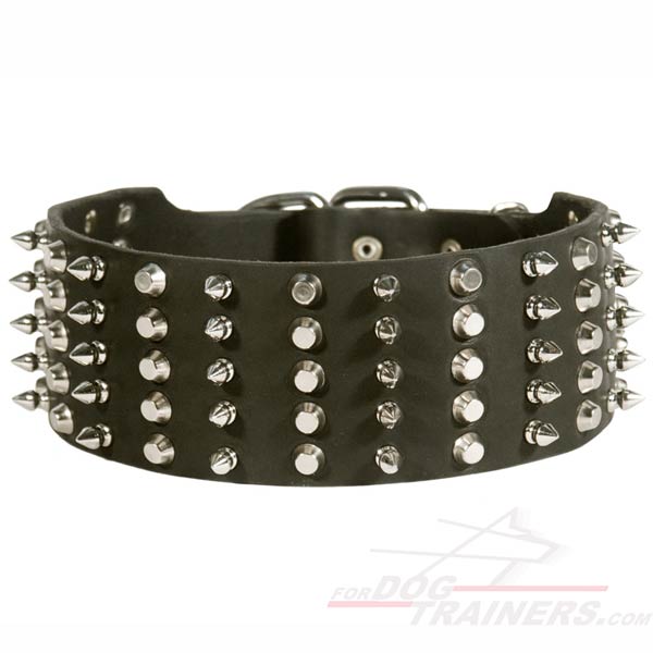 Fine Spiked and Studded Pitbull Collar