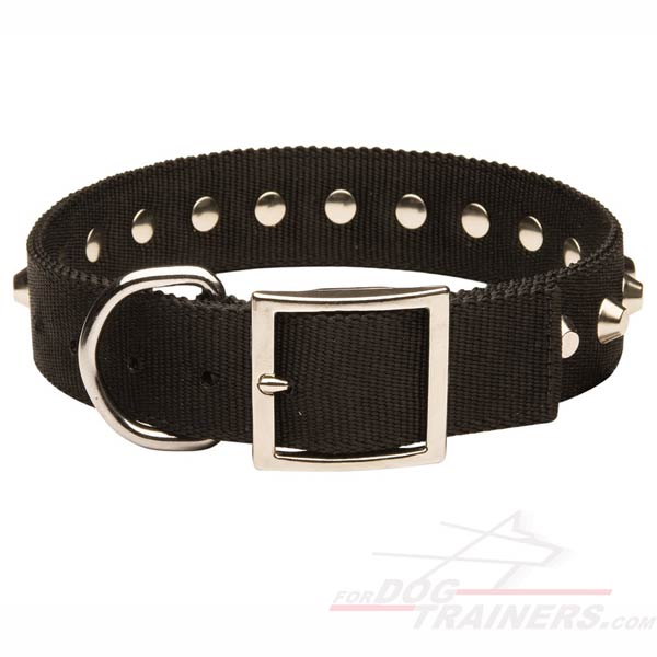 Demandable Nylon Canine Collar with Rustproof Fittings