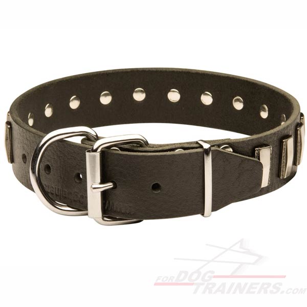 Uniquely Designed Leather Cane Corso Collar with Durable Buckle