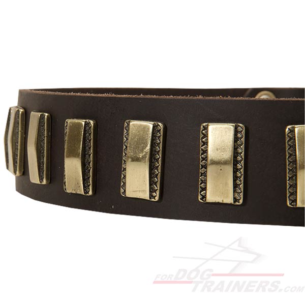 Leather Dog Collar with nickel fittings