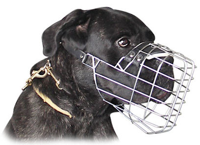 Wire Basket Dog Muzzle for Cane Corso-Sicilian Branchiero Muzzle