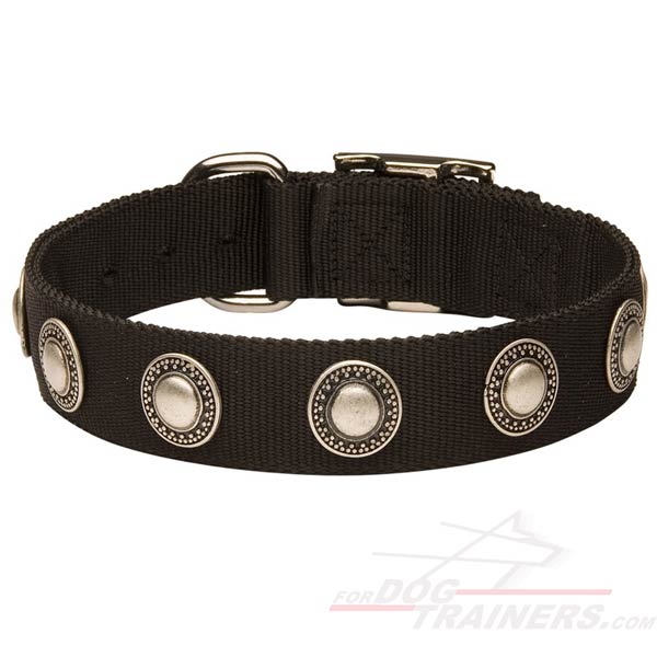 Cane Corso Nylon Dog Collar decorated