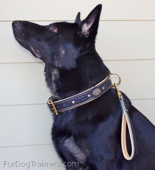 Short leather dog leash - L8 suits Alois