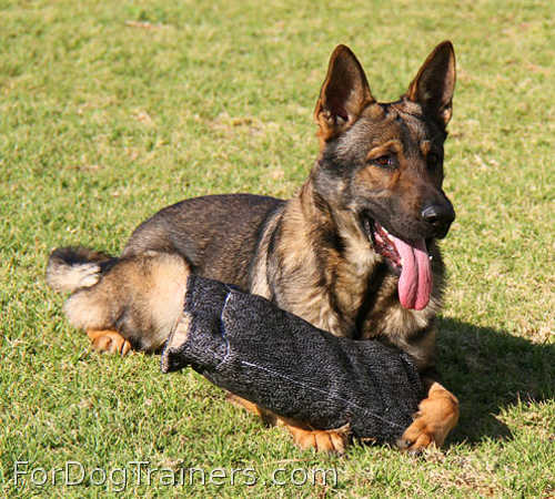 Puppy and Young Dog Bite Builder made of French Linen will be much of a help during trainings