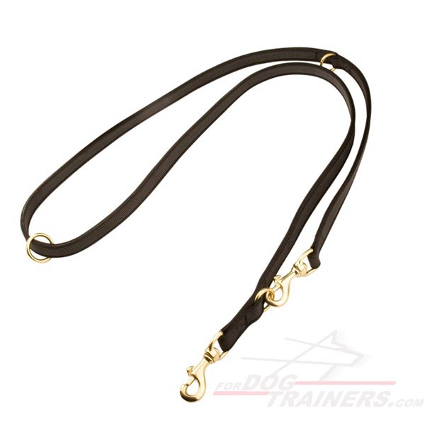 Excellent quality nylon leash