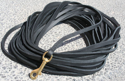 Dog leash