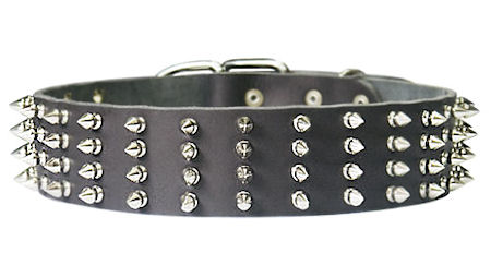 Dog collar