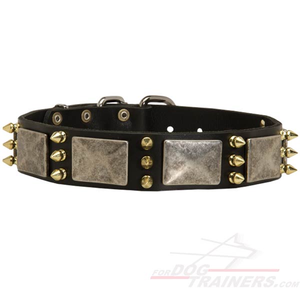 Gorgeous Leather Pitbull Collar