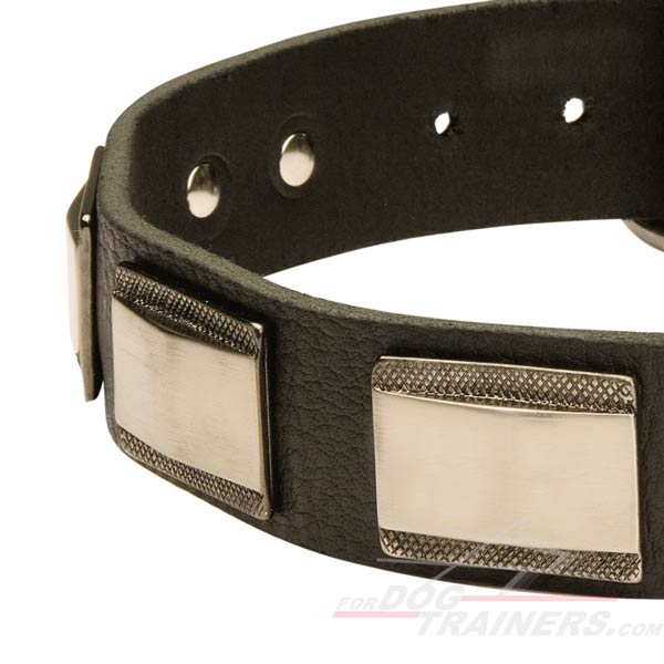 Try Quality Dog Collar