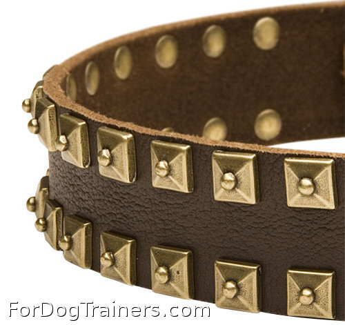 Best dog collar ever