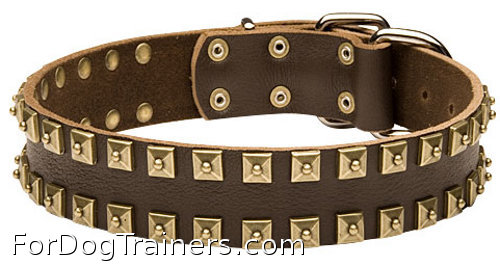 Handcrafted leather dog collar