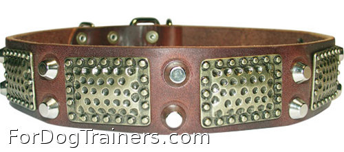 Cool war dog collar