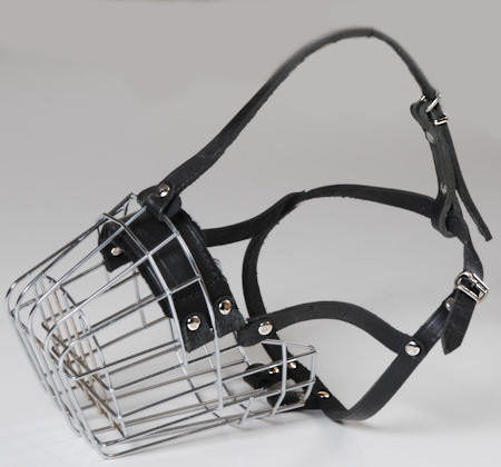 Extra small metal basket dog muzzle for walking and dog training