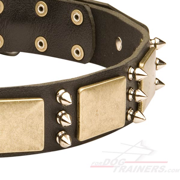 Designer Leather Dog Collar