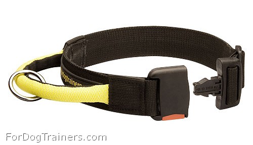 dog collar with handle