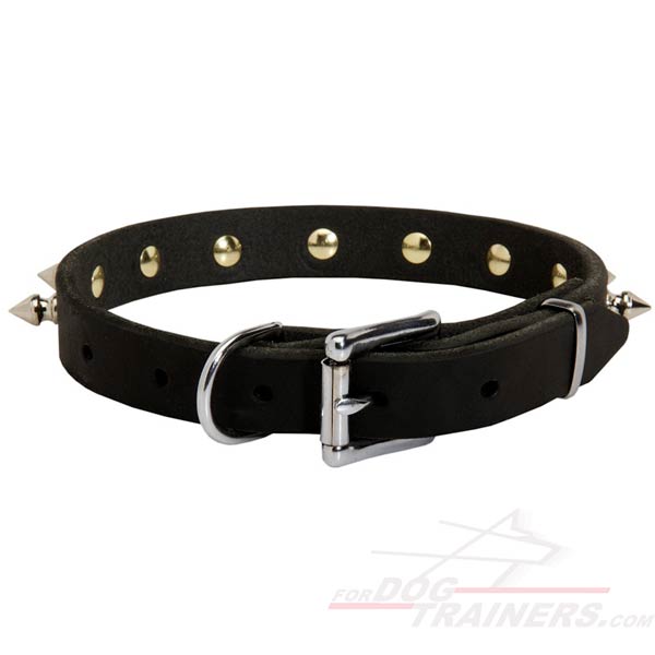 Walking Leather Dog Collar with Nickel Hardware