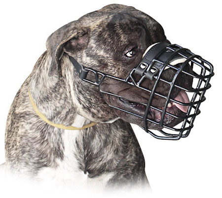 Bullmastiff Wire Dog MUZZLE for winter with rubber cover