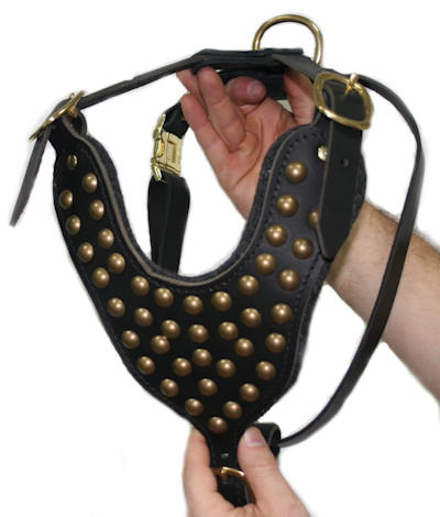 leather dog harness