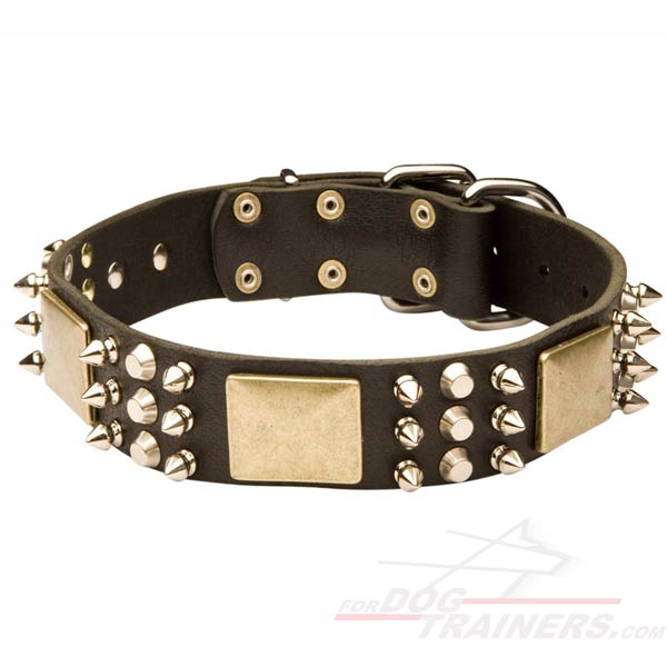 Fashion Leather Cane Corso Collar with Hand-Set Spikes, Plates and Studs