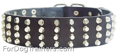 wide dog collar with 4 rows of pyramids/studds