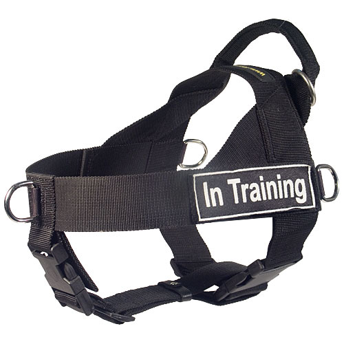 therapy dog harness