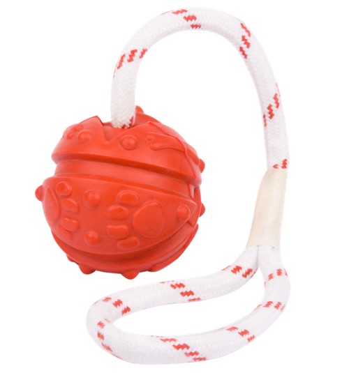 training dog toy ball on string with loop