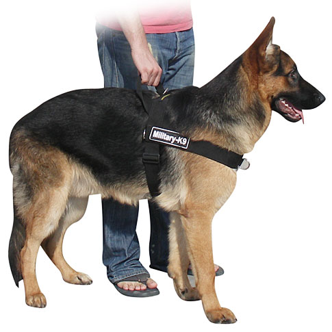 german shepherd better control dog harness