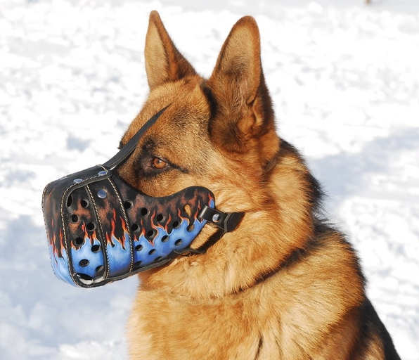 Dog muzzle