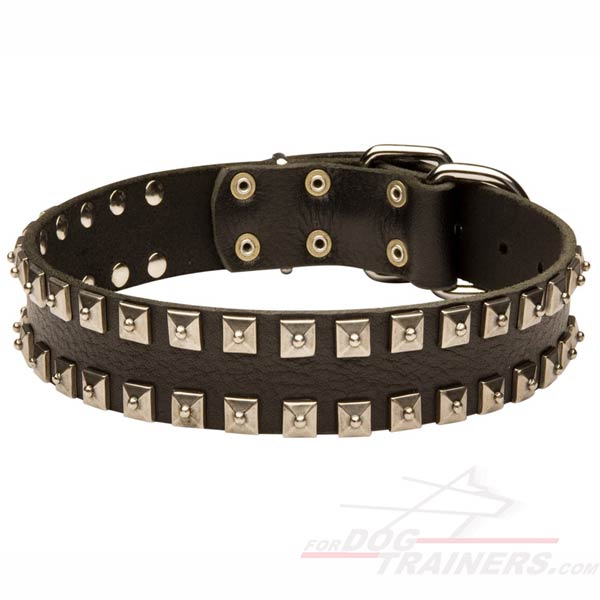 Black Leather Dog Collar