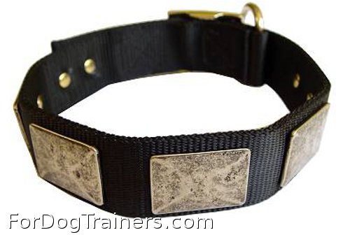 Cool nylon dog collar